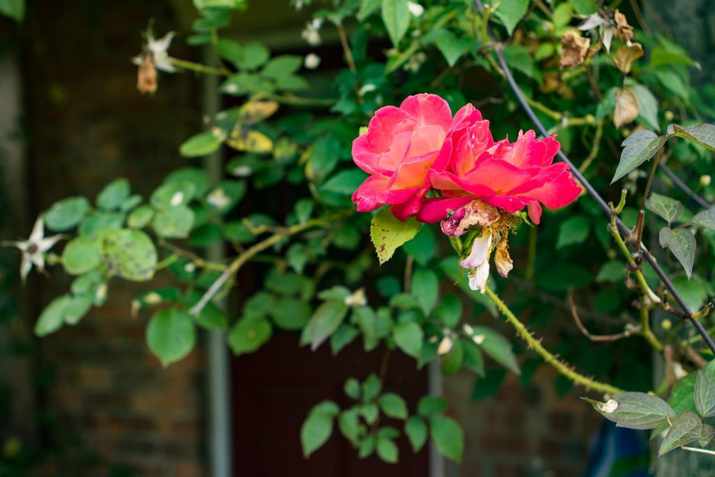 Mareham House Bed & Breakfast Sleaford Εξωτερικό φωτογραφία